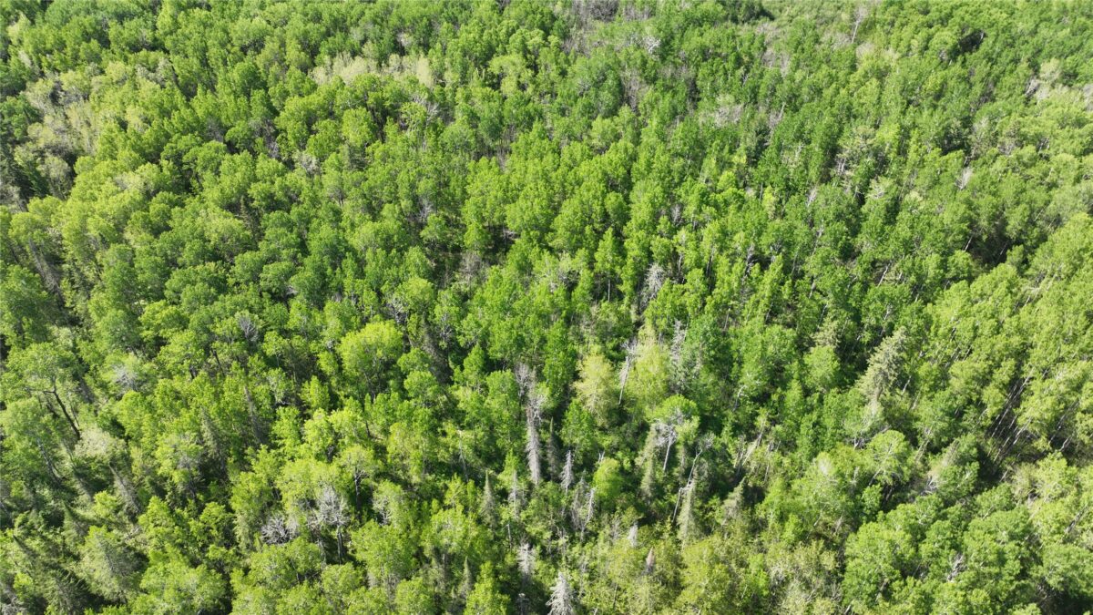 1640 County Road W, Superior WI 54880 - Land house for sale - MLS #1602205 - image20