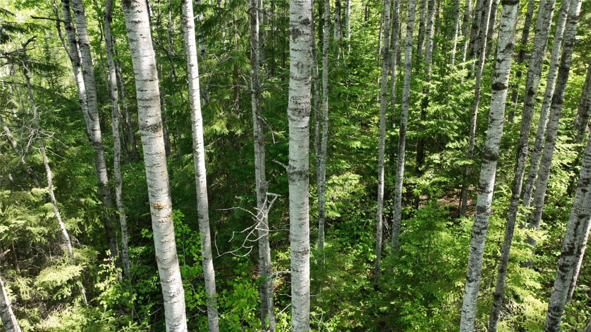 1640 County Road W, Superior WI 54880 - Land house for sale - MLS #1602205 - image28