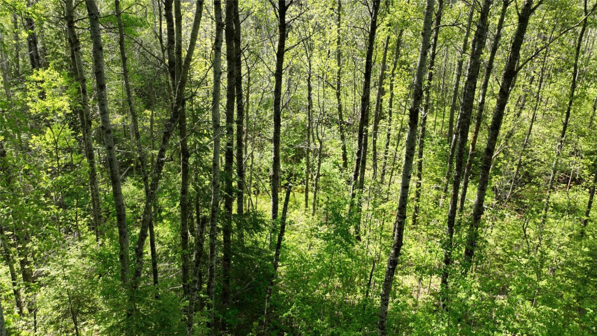 1640 County Road W, Superior WI 54880 - Land house for sale - MLS #1602205 - image33