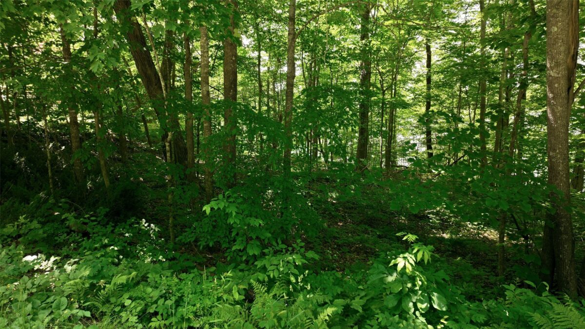 16734 Maple Terrace Drive, Birchwood WI 54817 - Land house for sale - MLS #1600112 - image11