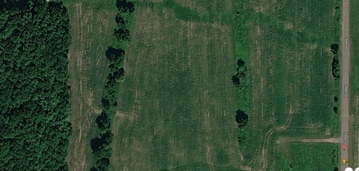 1768 290th Street, Cadott WI 54727 - Land house for sale - MLS #1598349 - image5