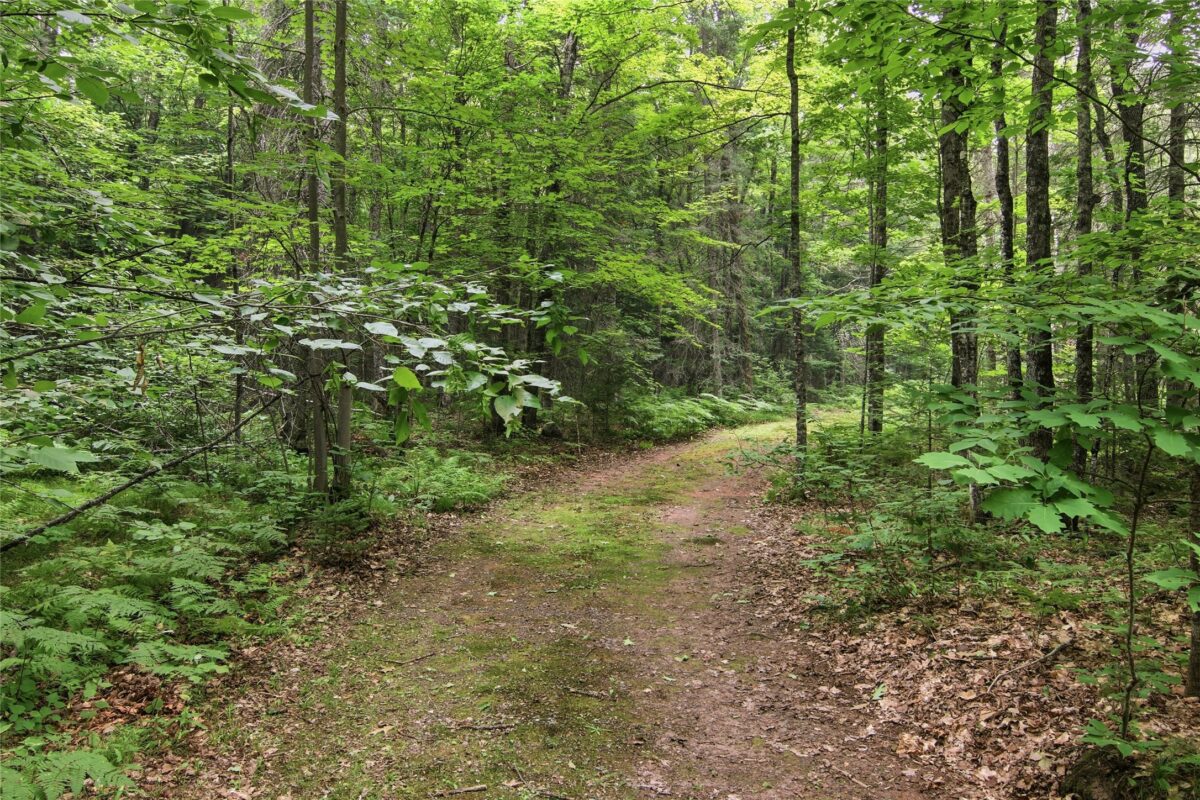 20110 Old Highway 63, grand view WI 54839 - Residential house for sale - MLS #1602629 - image16