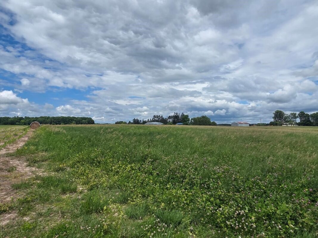 2116 8th Street, Cumberland WI 54829 - Land house for sale - MLS #1602314 - image2
