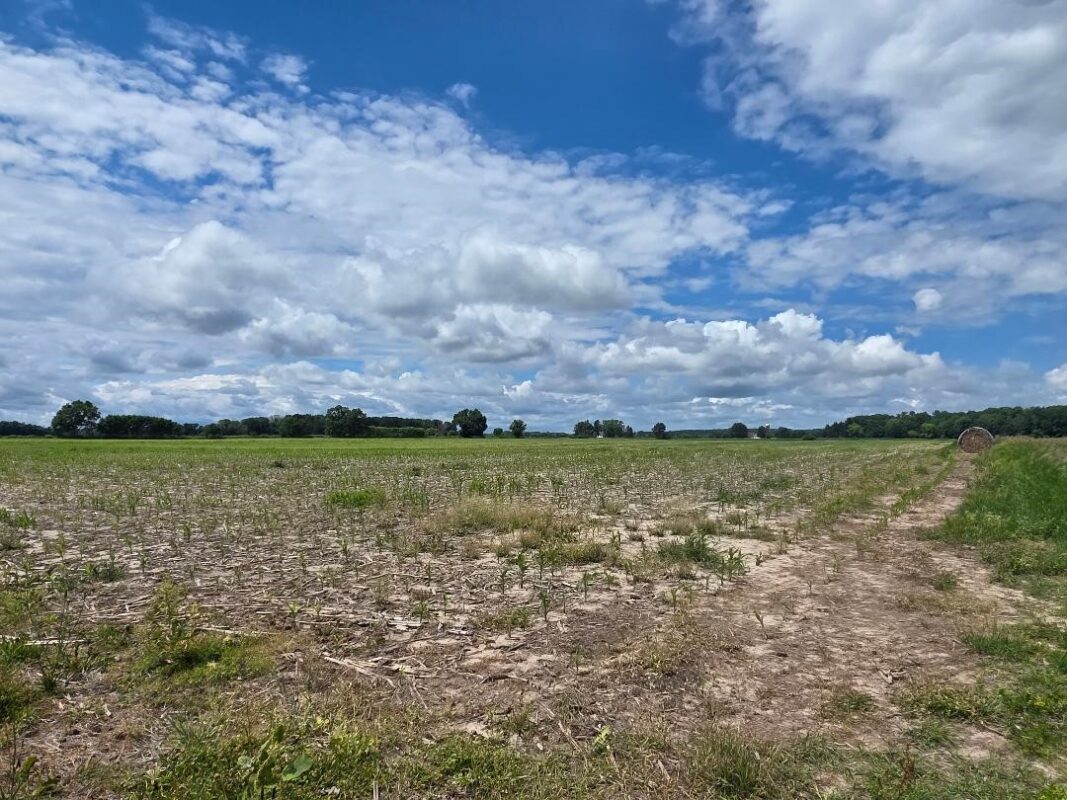 2116 8th Street, Cumberland WI 54829 - Land house for sale - MLS #1602314 - image3