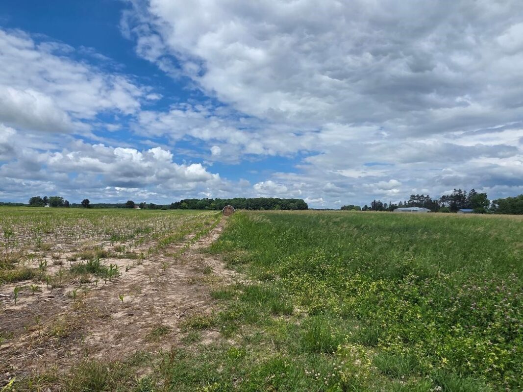 2116 8th Street, Cumberland WI 54829 - Land house for sale - MLS #1602314 - image4