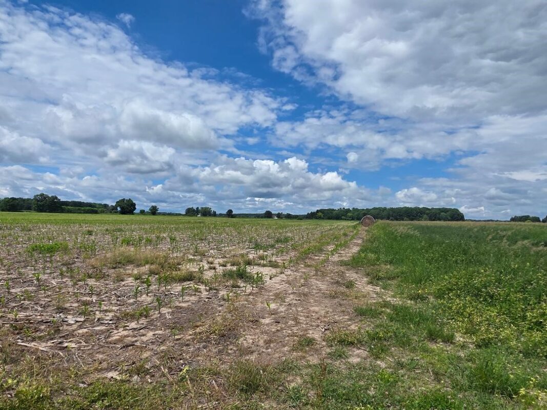 2116 8th Street, Cumberland WI 54829 - Land house for sale - MLS #1602314 - image5