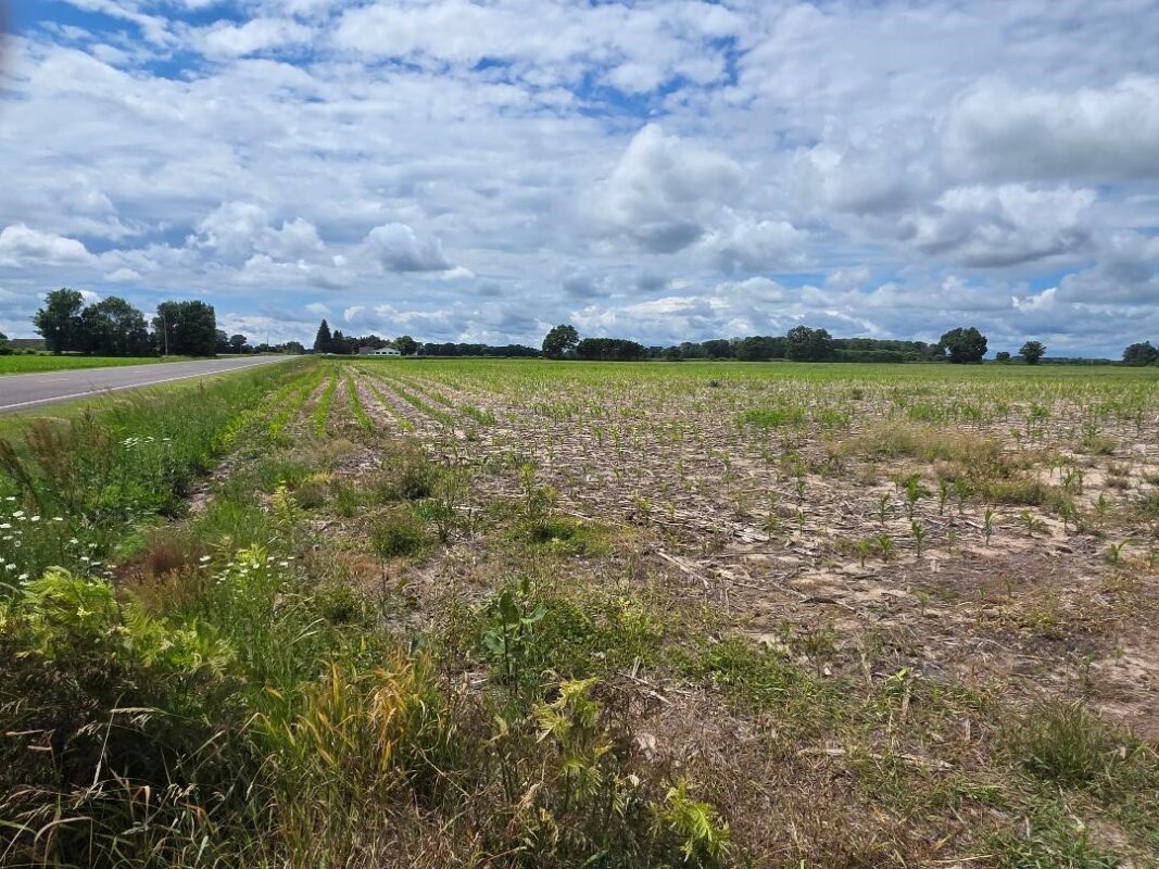 2116 8th Street, Cumberland WI 54829 - Land house for sale - MLS #1602314 - image6