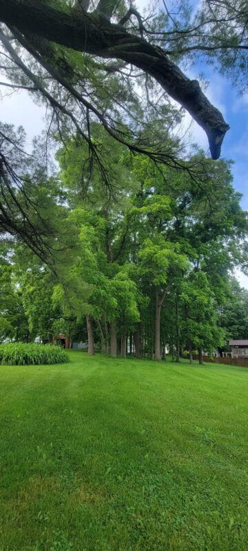 224 Church Street, Alma Center WI 54611 - Residential house for sale - MLS #1602594 - image14