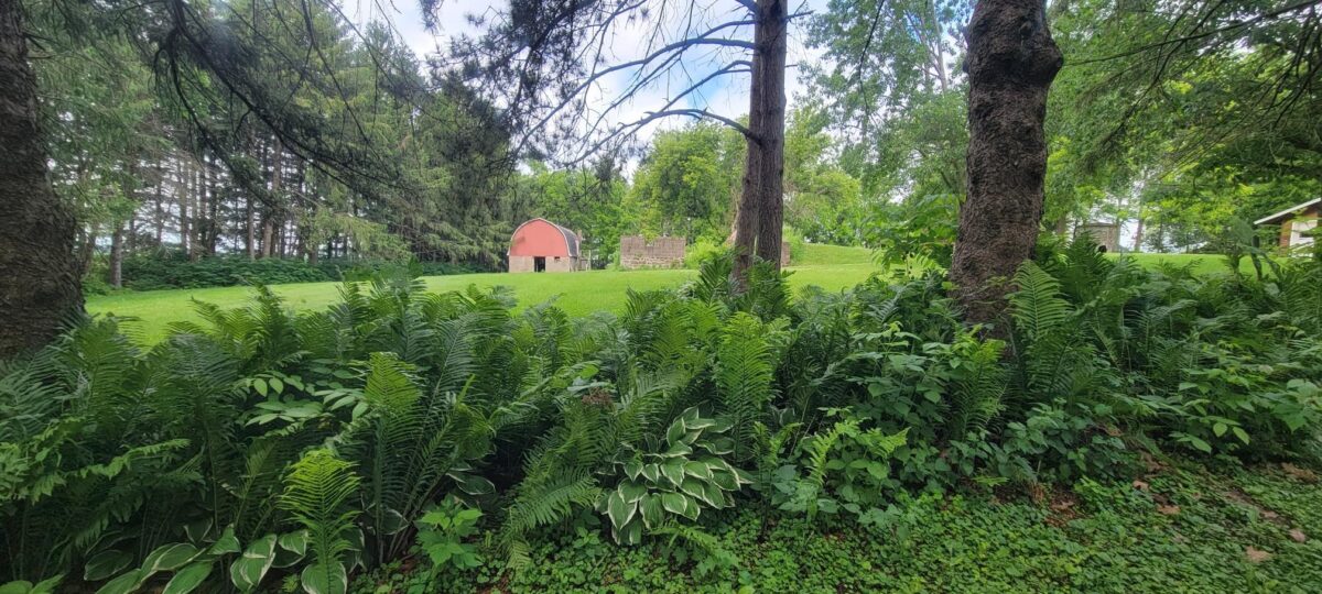 224 Church Street, Alma Center WI 54611 - Residential house for sale - MLS #1602594 - image3