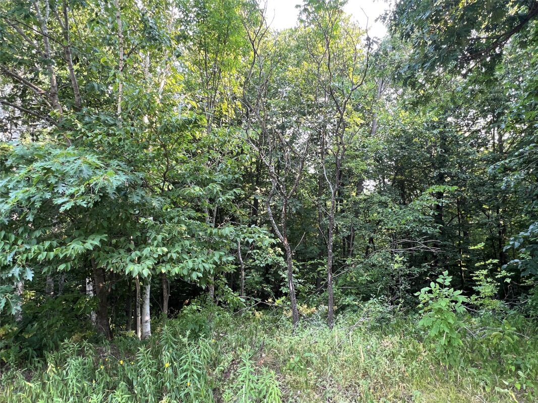 23871 Tollander Road, Siren WI 54872 - Residential house for sale - MLS #1603654 - image35