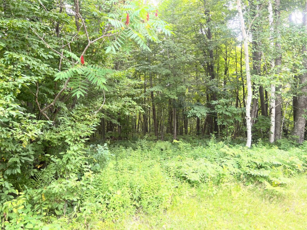 23871 Tollander Road, Siren WI 54872 - Residential house for sale - MLS #1603654 - image39