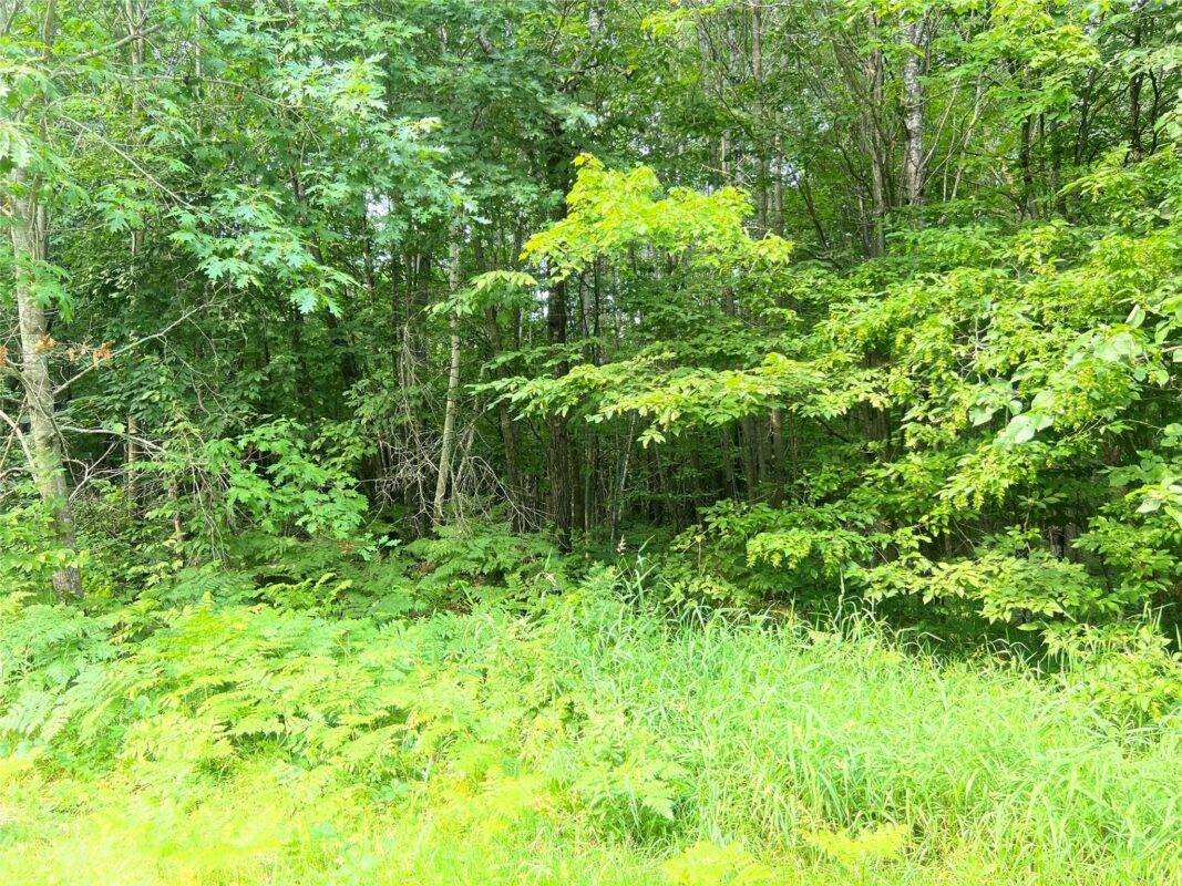 23871 Tollander Road, Siren WI 54872 - Residential house for sale - MLS #1603654 - image41