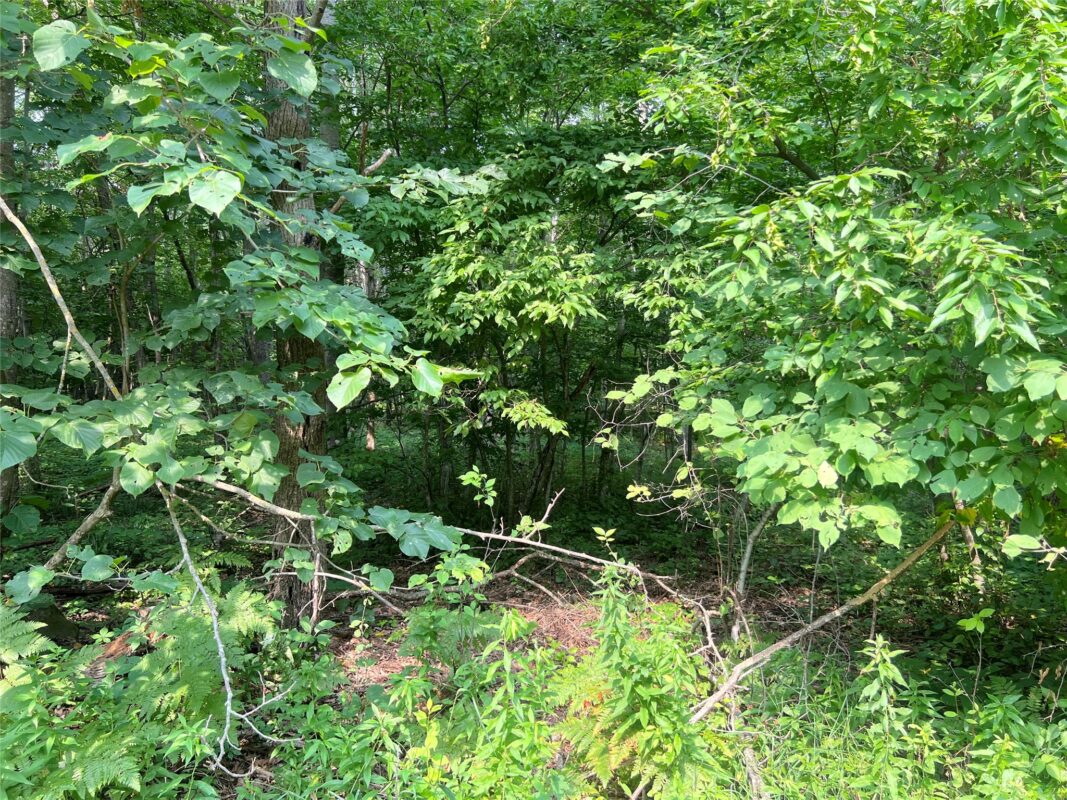 23871 Tollander Road, Siren WI 54872 - Residential house for sale - MLS #1603654 - image42
