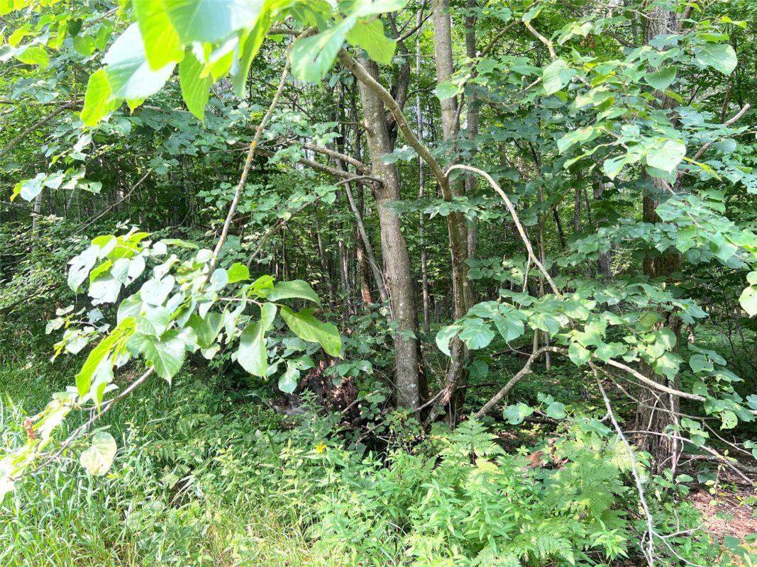 23871 Tollander Road, Siren WI 54872 - Residential house for sale - MLS #1603654 - image43