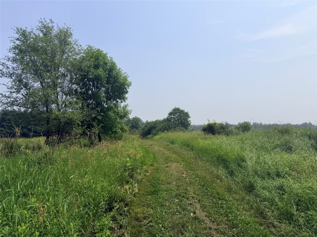 25239 90th Street, New Auburn WI 54757 - Residential house for sale - MLS #1603414 - image31