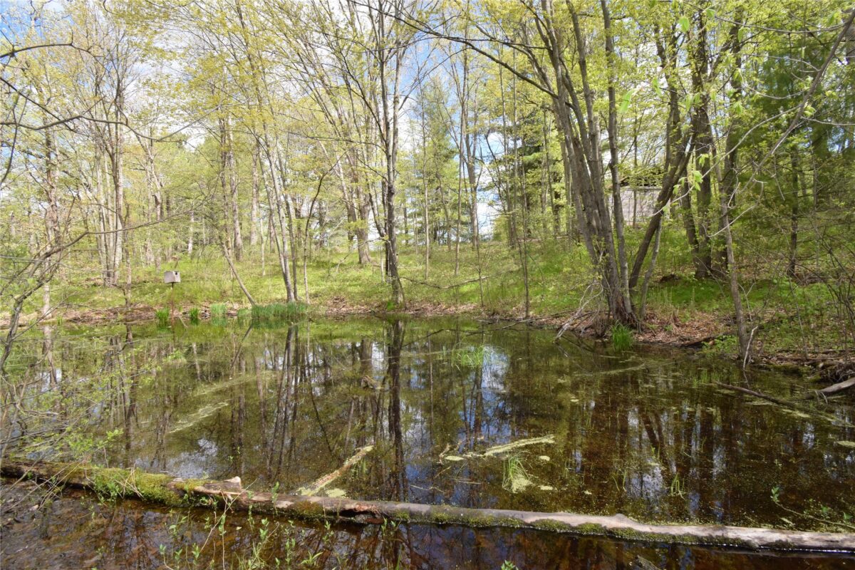 25383 Mansfield Road, Webster WI 54893 - Land house for sale - MLS #1601408 - image13