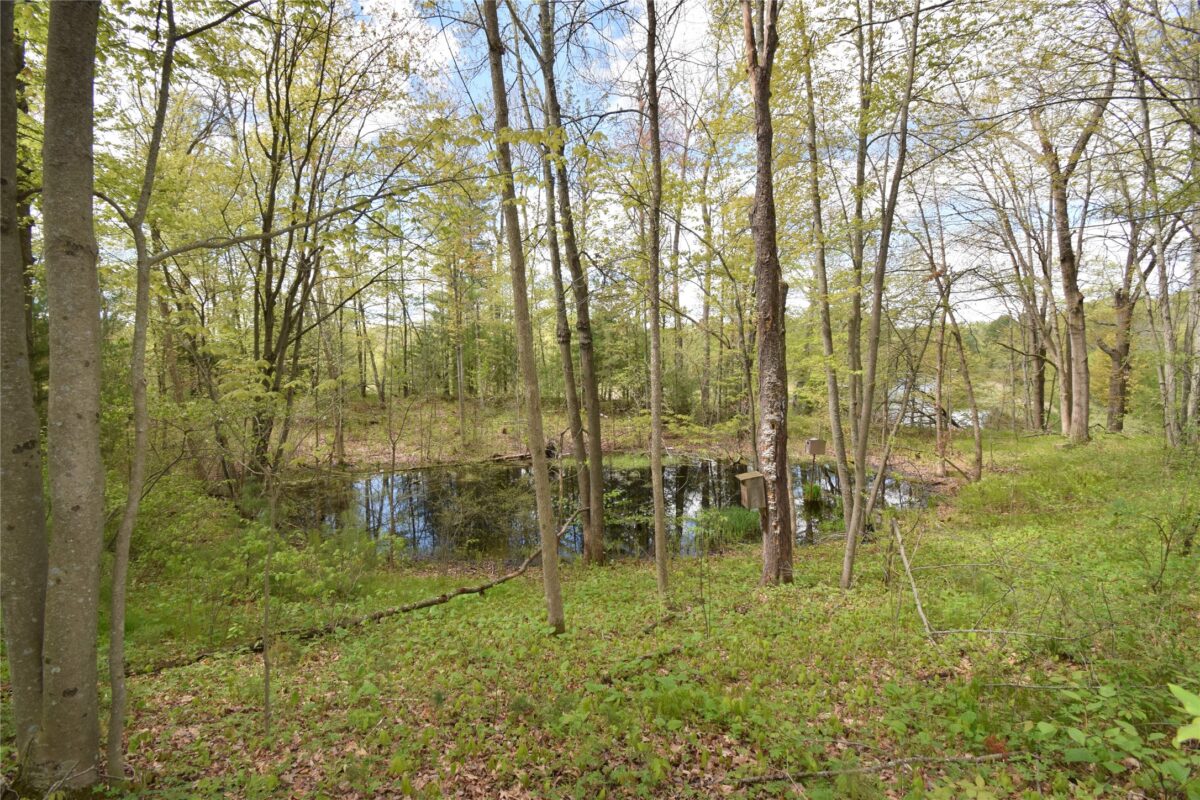 25383 Mansfield Road, Webster WI 54893 - Land house for sale - MLS #1601408 - image14