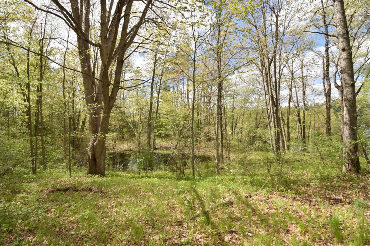 25383 Mansfield Road, Webster WI 54893 - Land house for sale - MLS #1601408 - image15