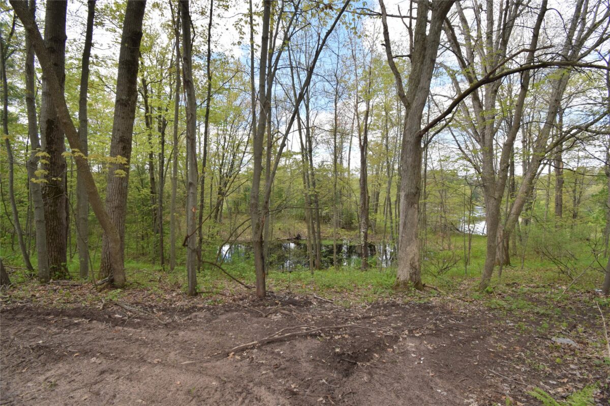 25383 Mansfield Road, Webster WI 54893 - Land house for sale - MLS #1601408 - image16