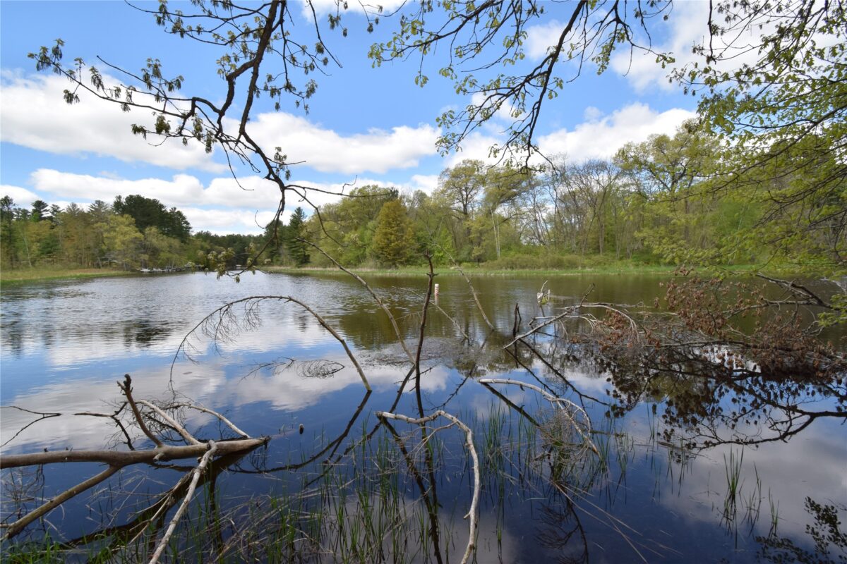25383 Mansfield Road, Webster WI 54893 - Land house for sale - MLS #1601408 - image3