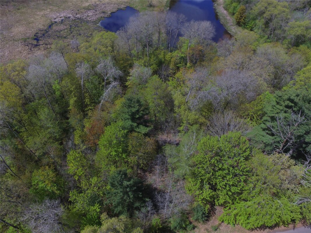 25383 Mansfield Road, Webster WI 54893 - Land house for sale - MLS #1601408 - image21