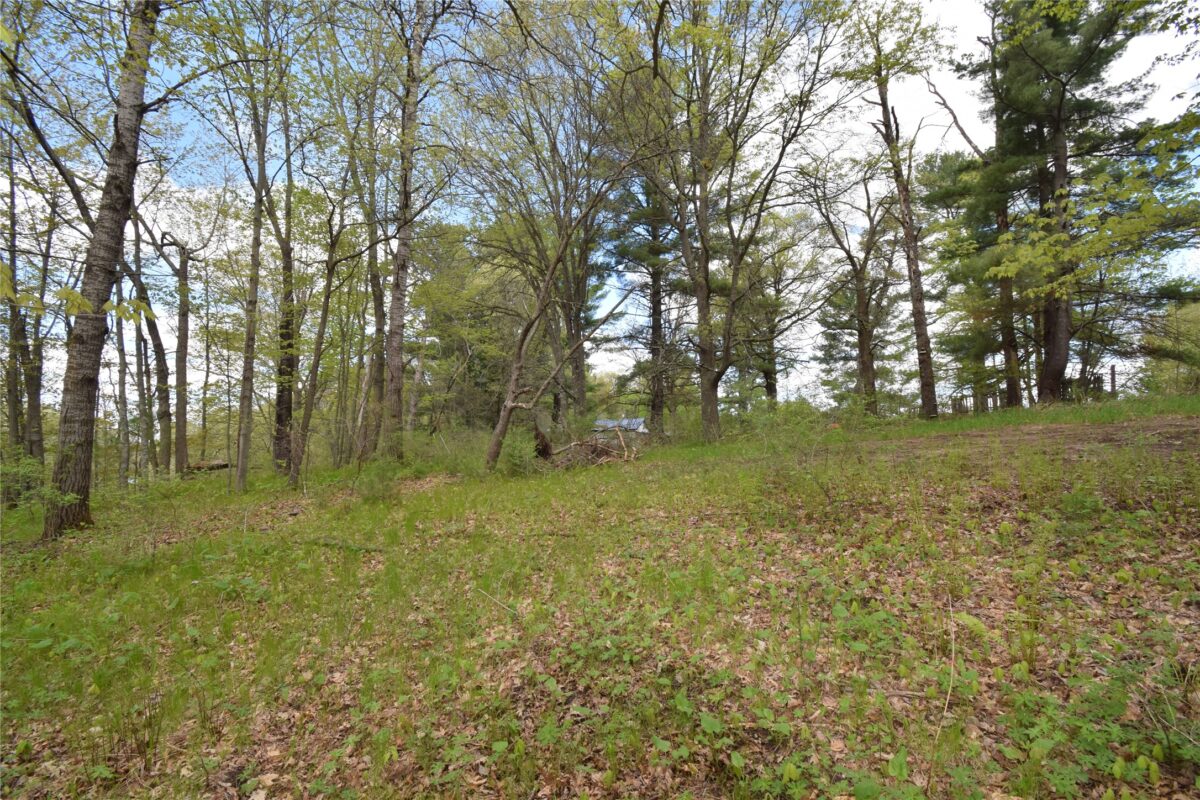 25383 Mansfield Road, Webster WI 54893 - Land house for sale - MLS #1601408 - image22