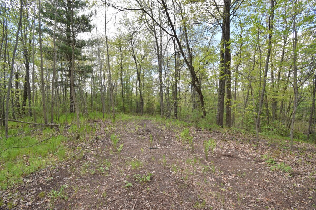25383 Mansfield Road, Webster WI 54893 - Land house for sale - MLS #1601408 - image23