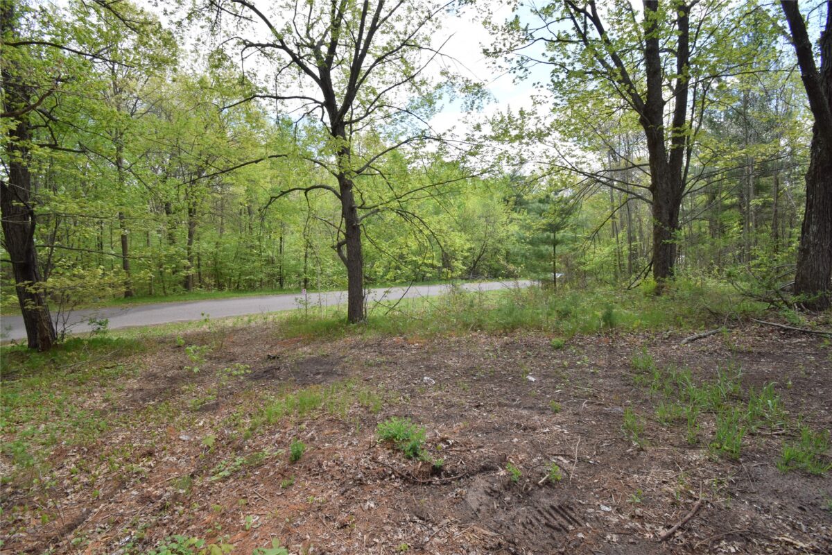 25383 Mansfield Road, Webster WI 54893 - Land house for sale - MLS #1601408 - image25