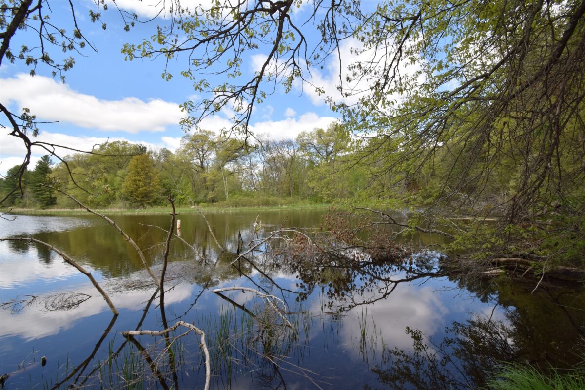 25383 Mansfield Road, Webster WI 54893 - Land house for sale - MLS #1601408 - image4