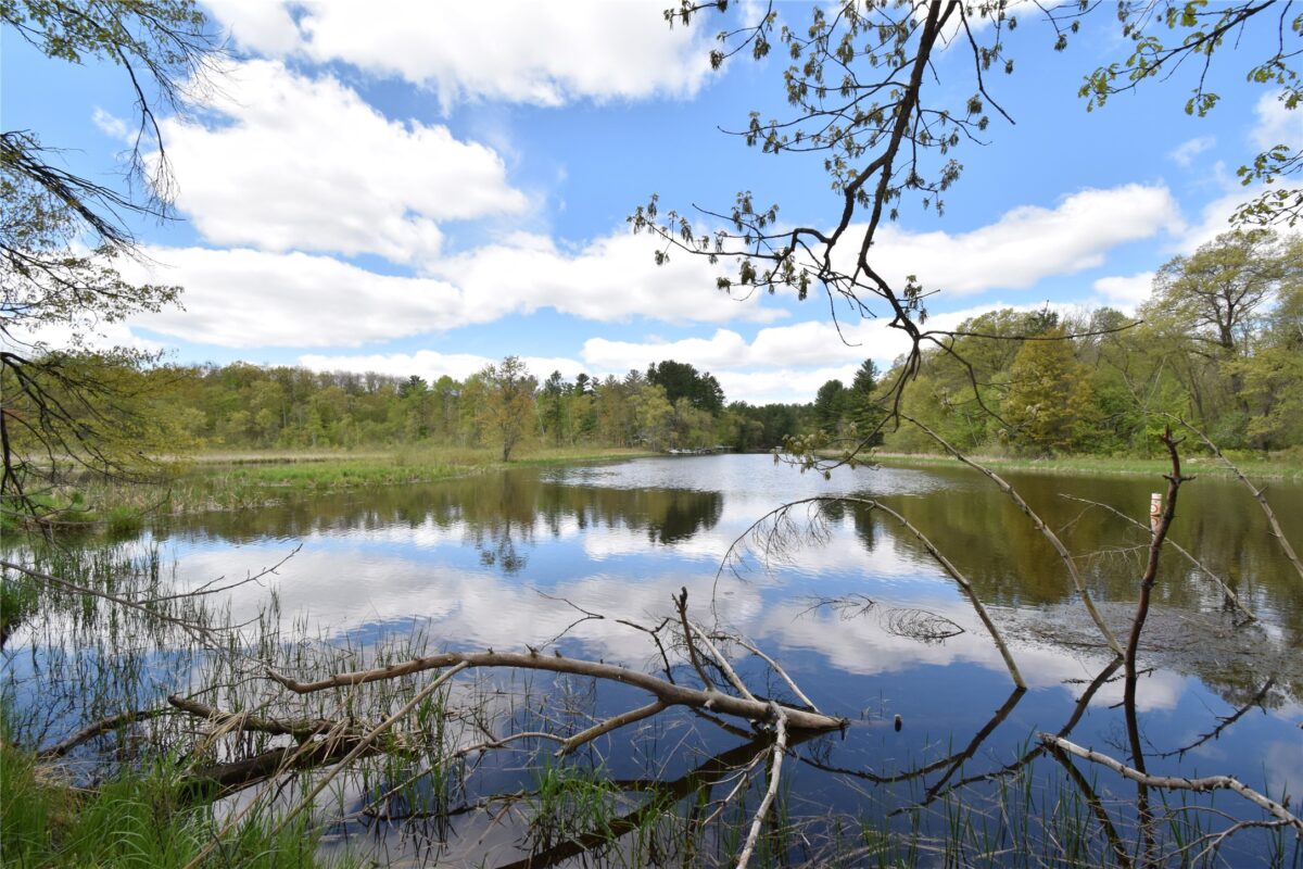 25383 Mansfield Road, Webster WI 54893 - Land house for sale - MLS #1601408 - image31