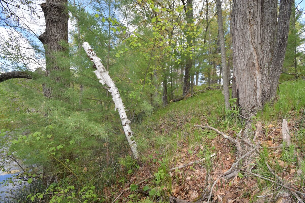 25383 Mansfield Road, Webster WI 54893 - Land house for sale - MLS #1601408 - image34