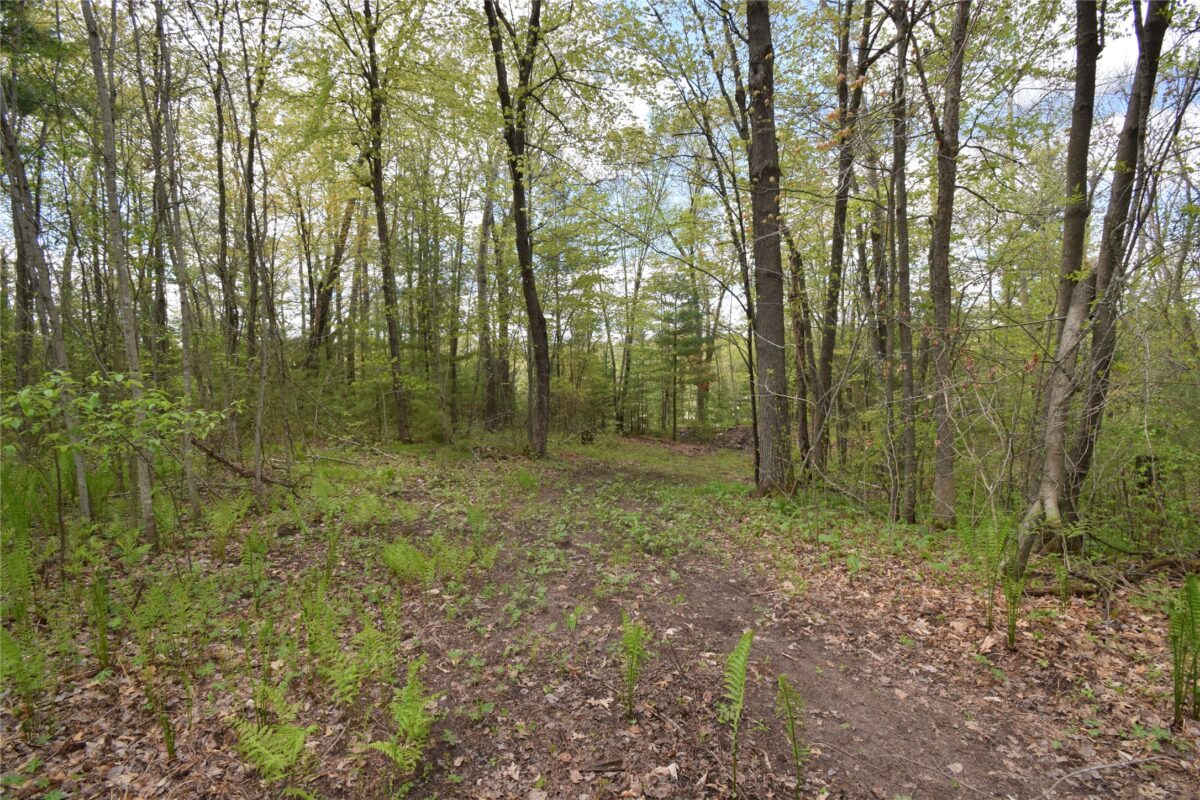 25383 Mansfield Road, Webster WI 54893 - Land house for sale - MLS #1601408 - image6