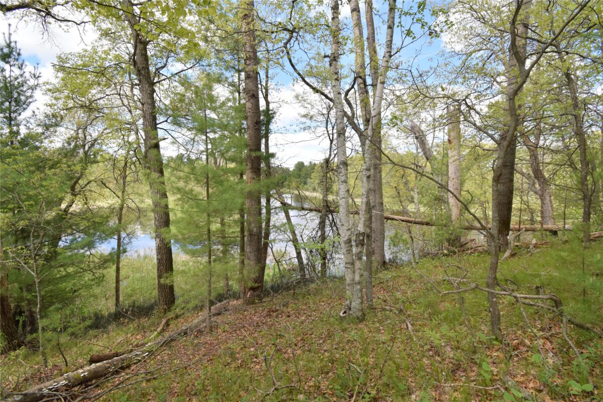 25383 Mansfield Road, Webster WI 54893 - Land house for sale - MLS #1601408 - image7