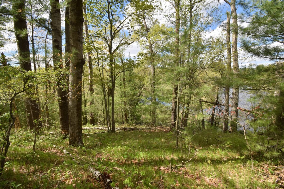 25383 Mansfield Road, Webster WI 54893 - Land house for sale - MLS #1601408 - image8