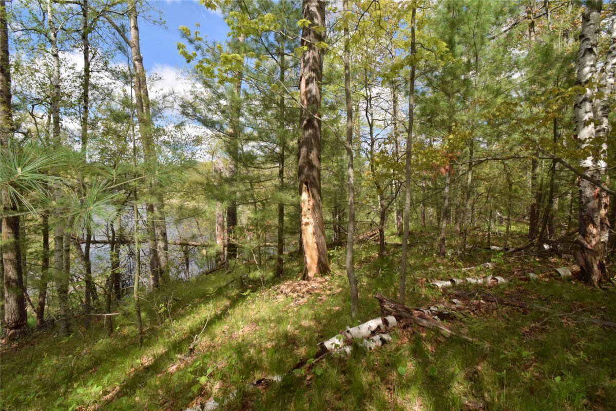 25383 Mansfield Road, Webster WI 54893 - Land house for sale - MLS #1601408 - image9
