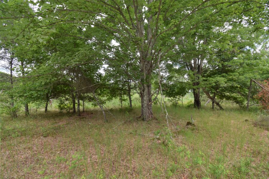 25385 Spaulding Road