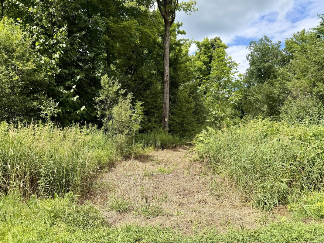25478 185th Avenue, Cornell WI 54732 - Land house for sale - MLS #1603555 - image2