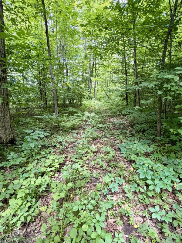 25478 185th Avenue, Cornell WI 54732 - Land house for sale - MLS #1603555 - image11