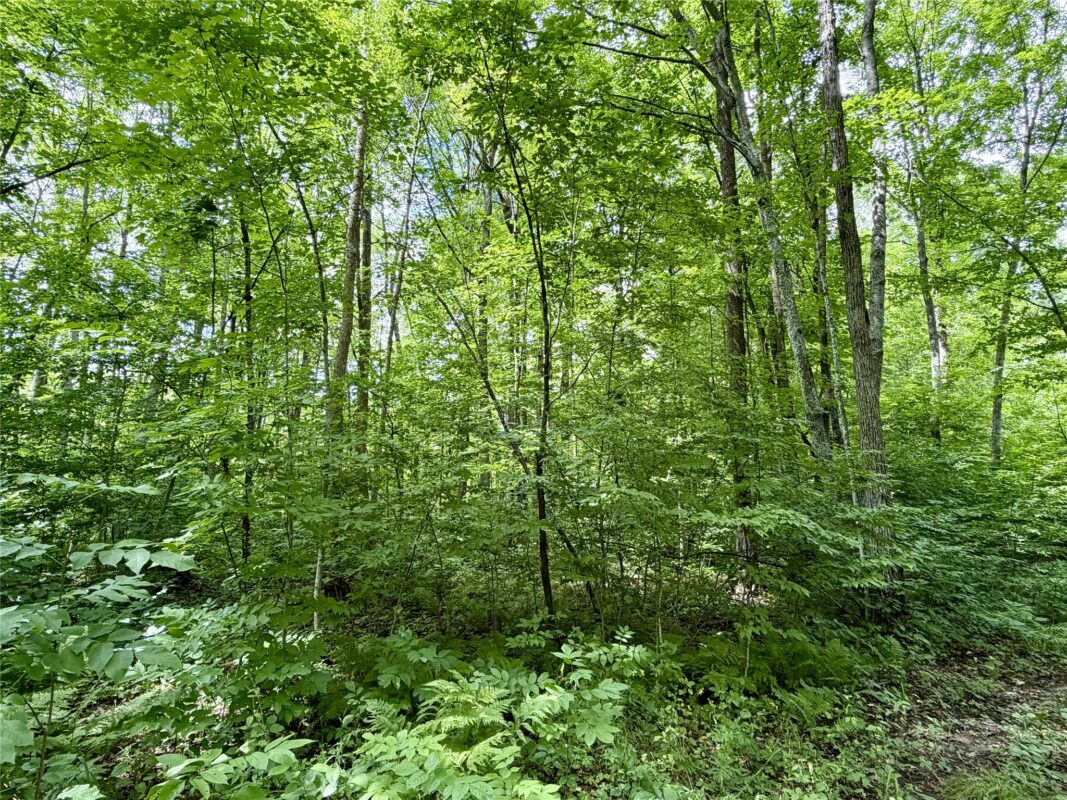 25478 185th Avenue, Cornell WI 54732 - Land house for sale - MLS #1603555 - image16