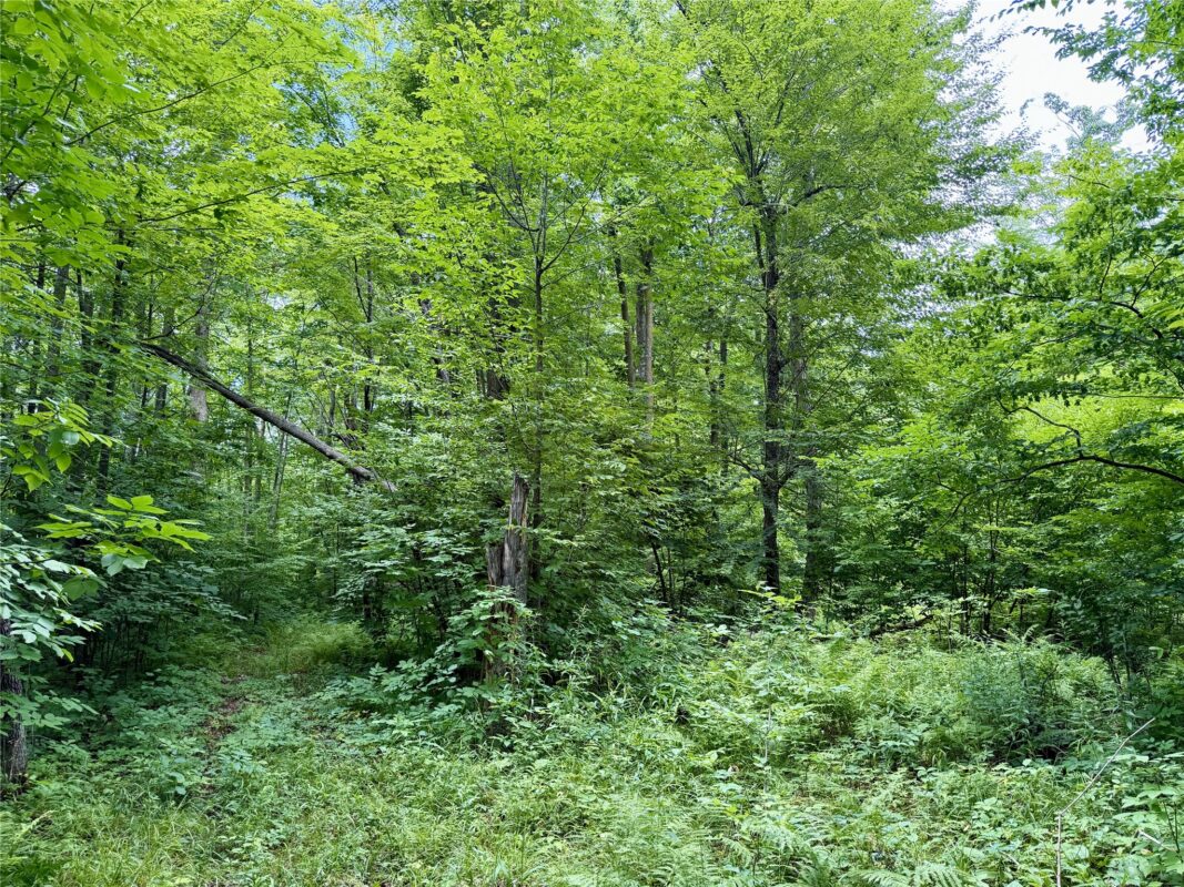25478 185th Avenue, Cornell WI 54732 - Land house for sale - MLS #1603555 - image17