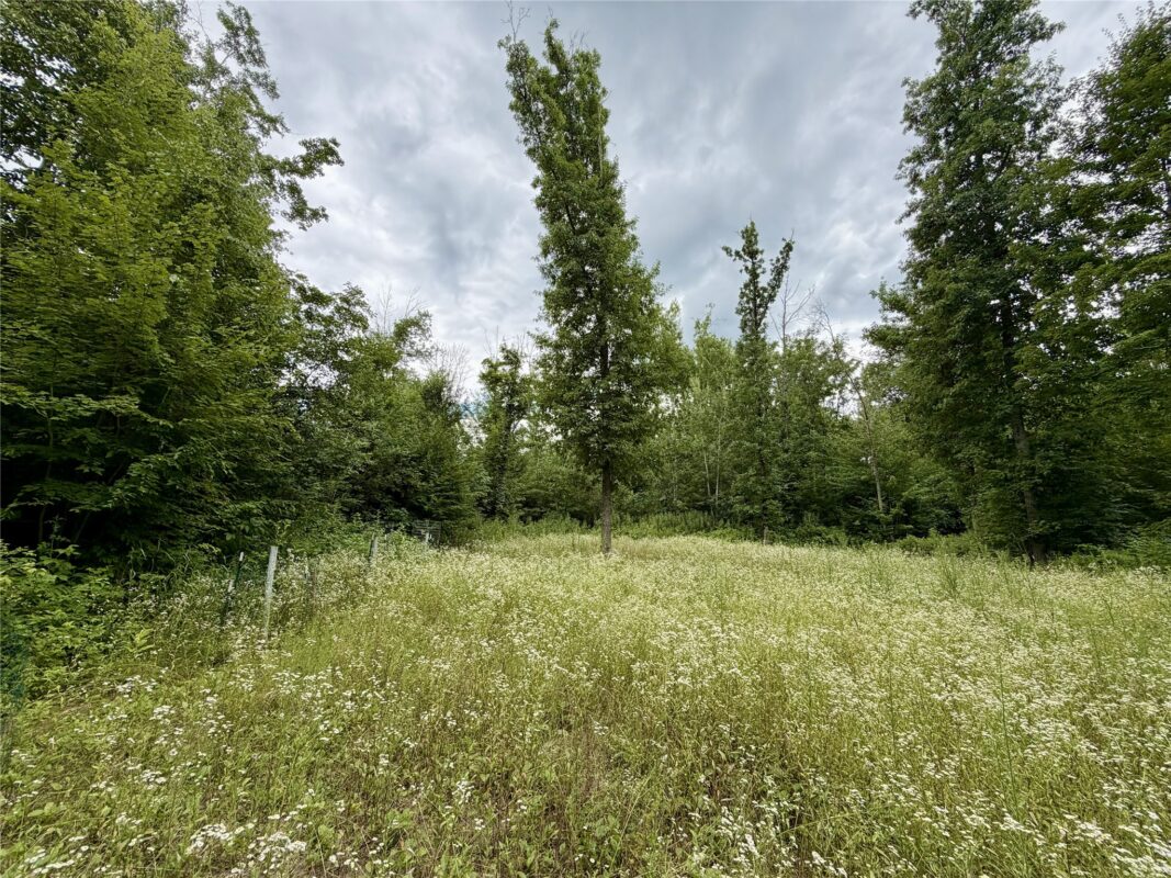 25478 185th Avenue, Cornell WI 54732 - Land house for sale - MLS #1603555 - image18