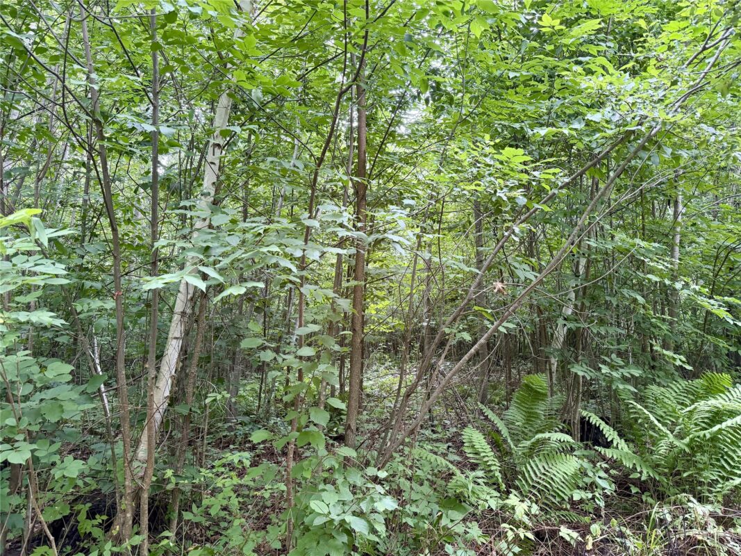 25478 185th Avenue, Cornell WI 54732 - Land house for sale - MLS #1603555 - image19