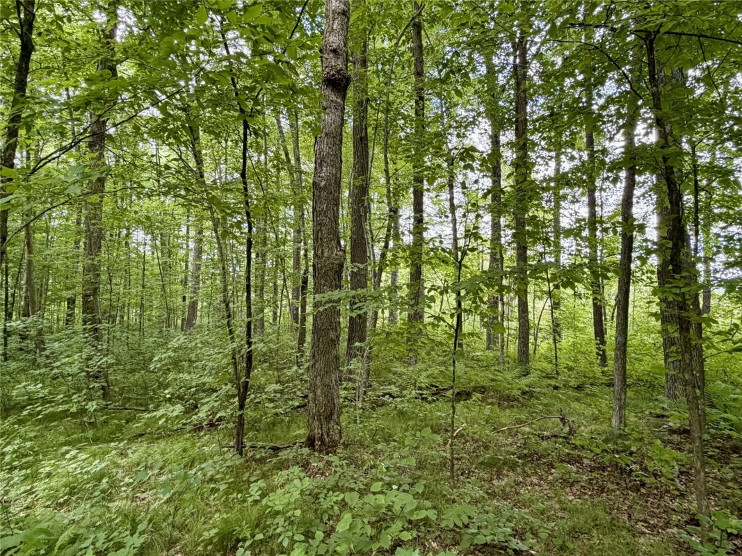 25478 185th Avenue, Cornell WI 54732 - Land house for sale - MLS #1603555 - image3