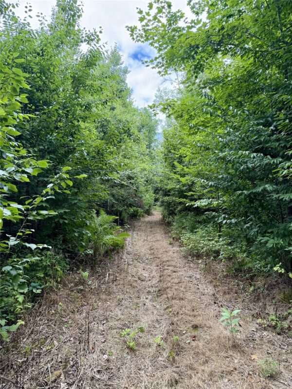25478 185th Avenue, Cornell WI 54732 - Land house for sale - MLS #1603555 - image30