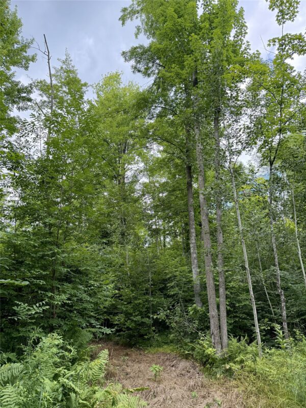 25478 185th Avenue, Cornell WI 54732 - Land house for sale - MLS #1603555 - image31