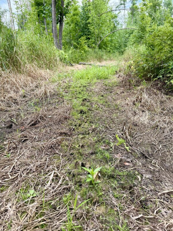 25478 185th Avenue, Cornell WI 54732 - Land house for sale - MLS #1603555 - image33
