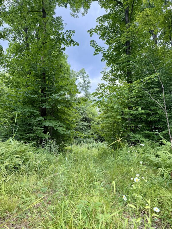 25478 185th Avenue, Cornell WI 54732 - Land house for sale - MLS #1603555 - image34