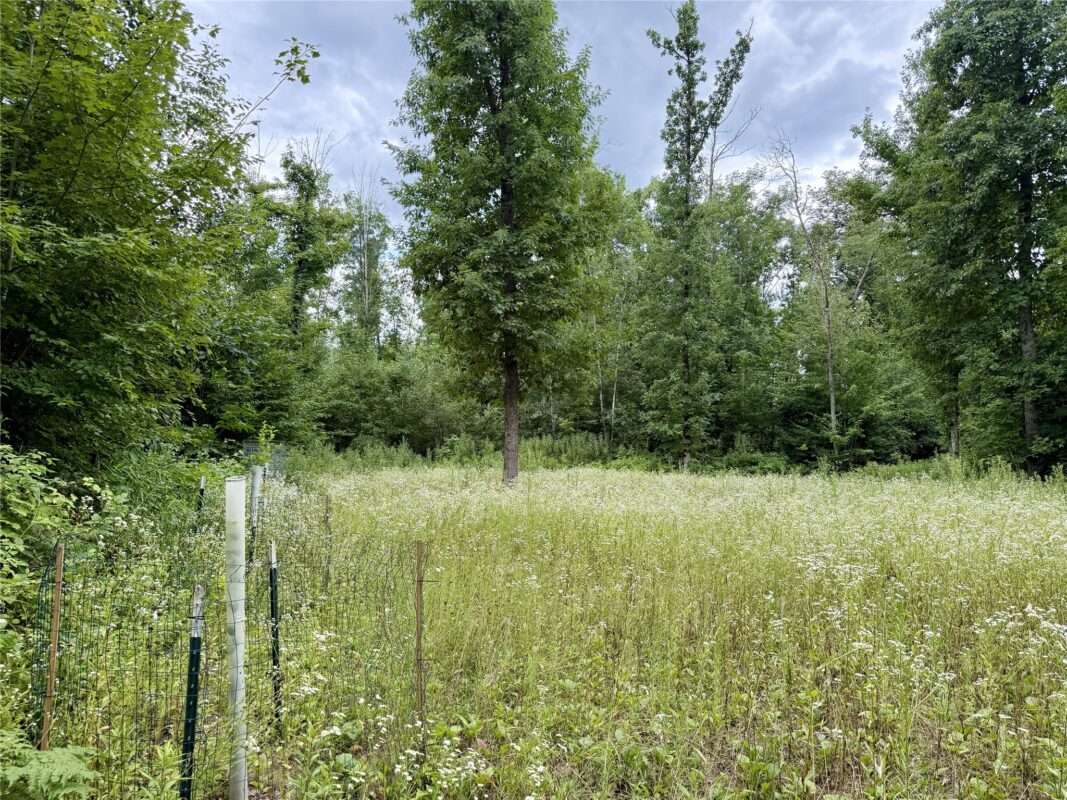 25478 185th Avenue, Cornell WI 54732 - Land house for sale - MLS #1603555 - image37