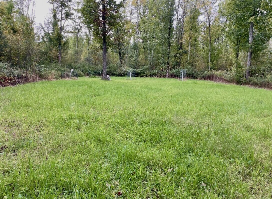 25478 185th Avenue, Cornell WI 54732 - Land house for sale - MLS #1603555 - image39