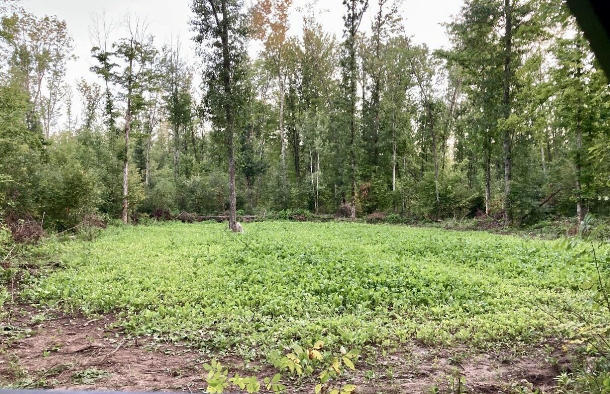 25478 185th Avenue, Cornell WI 54732 - Land house for sale - MLS #1603555 - image40